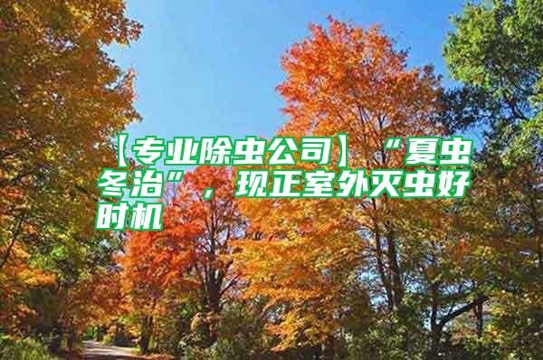 【專業(yè)除蟲公司】“夏蟲冬治”，現(xiàn)正室外滅蟲好時機