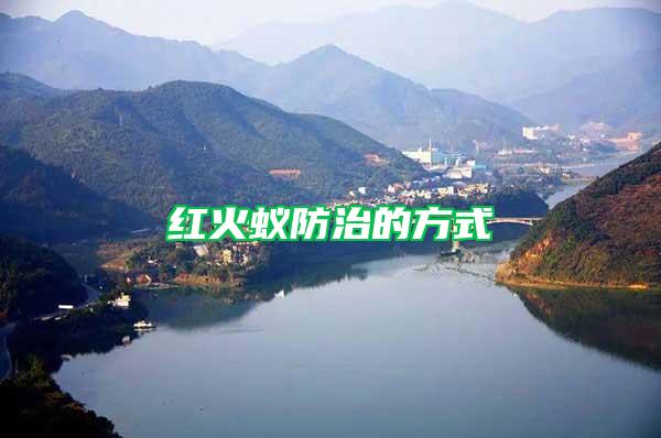 紅火蟻防治的方式
