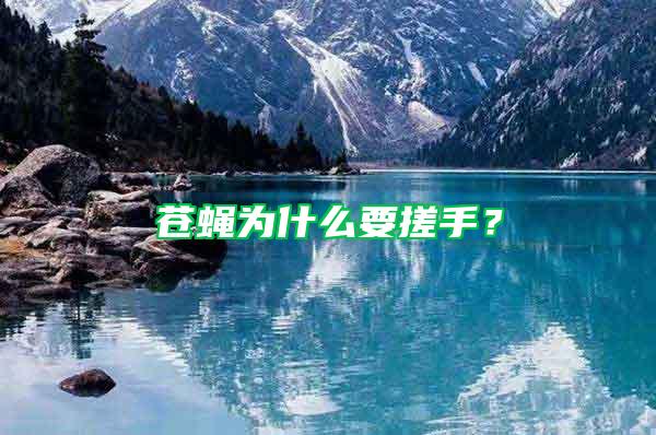 蒼蠅為什么要搓手？