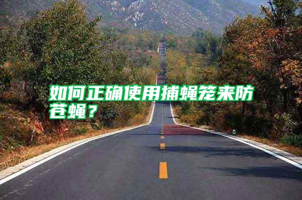 如何正確使用捕蠅籠來(lái)防蒼蠅？