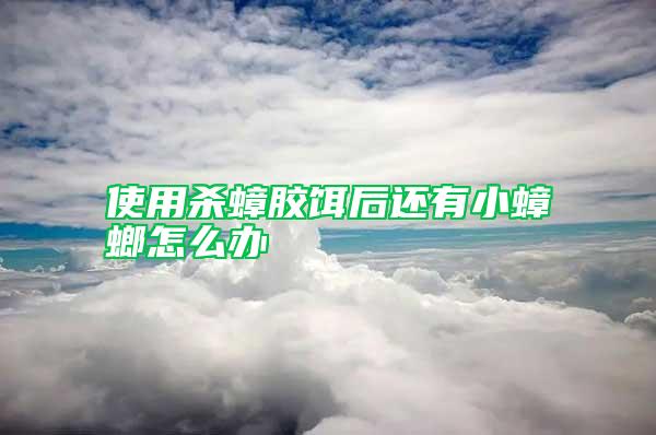 使用殺蟑膠餌后還有小蟑螂怎么辦