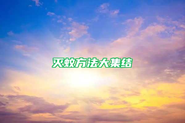 滅蚊方法大集結(jié)