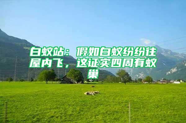白蟻站：假如白蟻紛紛往屋內(nèi)飛，這證實(shí)四周有蟻巢