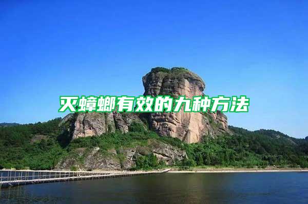滅蟑螂有效的九種方法
