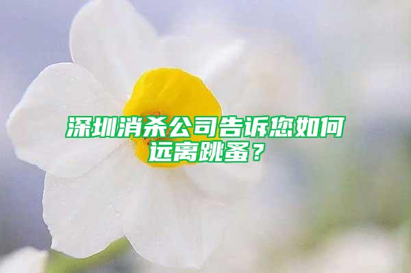 深圳消殺公司告訴您如何遠(yuǎn)離跳蚤？