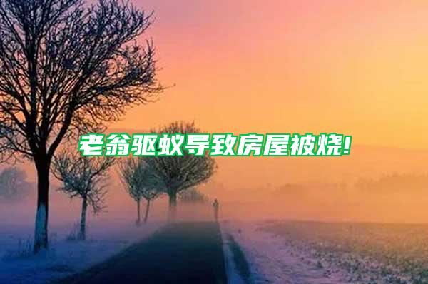 老翁驅(qū)蟻導(dǎo)致房屋被燒!