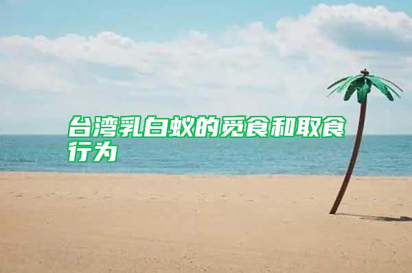 臺(tái)灣乳白蟻的覓食和取食行為