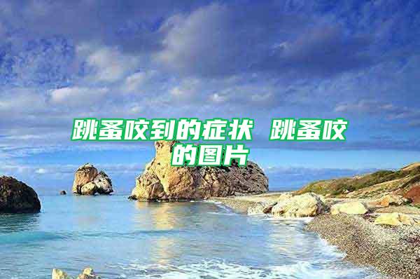 跳蚤咬到的癥狀 跳蚤咬的圖片