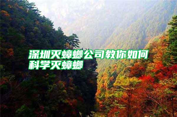 深圳滅蟑螂公司教你如何科學(xué)滅蟑螂
