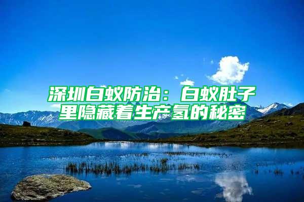 深圳白蟻防治：白蟻肚子里隱藏著生產(chǎn)氫的秘密