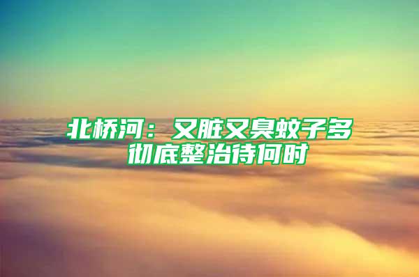北橋河：又臟又臭蚊子多 徹底整治待何時