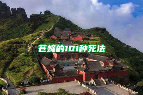 蒼蠅的101種死法