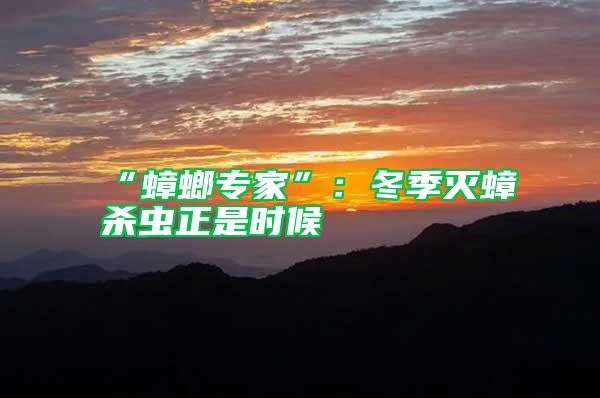 “蟑螂專家”：冬季滅蟑殺蟲正是時候