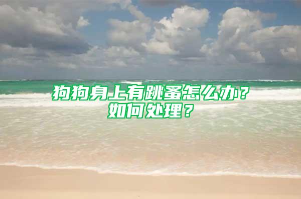 狗狗身上有跳蚤怎么辦？如何處理？