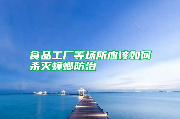 食品工廠等場所應該如何殺滅蟑螂防治
