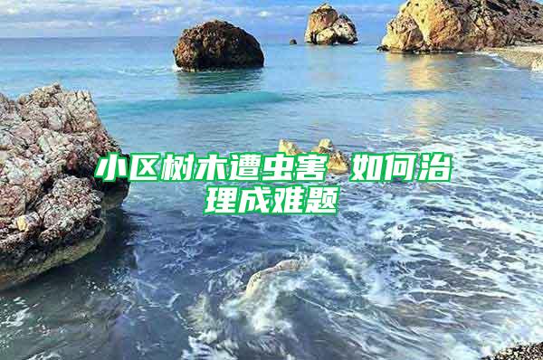 小區(qū)樹木遭蟲害 如何治理成難題