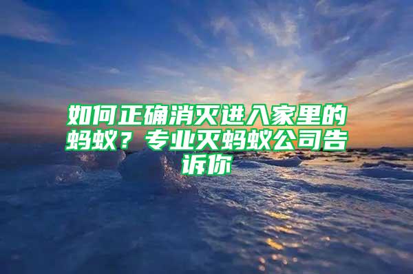 如何正確消滅進(jìn)入家里的螞蟻？專業(yè)滅螞蟻公司告訴你