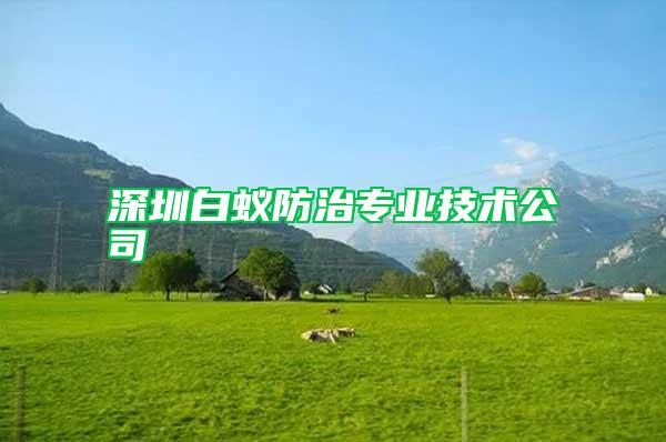 深圳白蟻防治專業(yè)技術(shù)公司