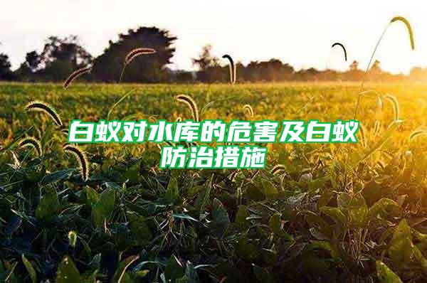 白蟻對水庫的危害及白蟻防治措施
