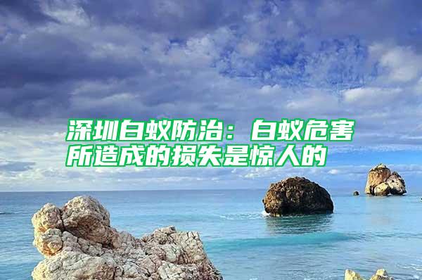 深圳白蟻防治：白蟻危害所造成的損失是驚人的