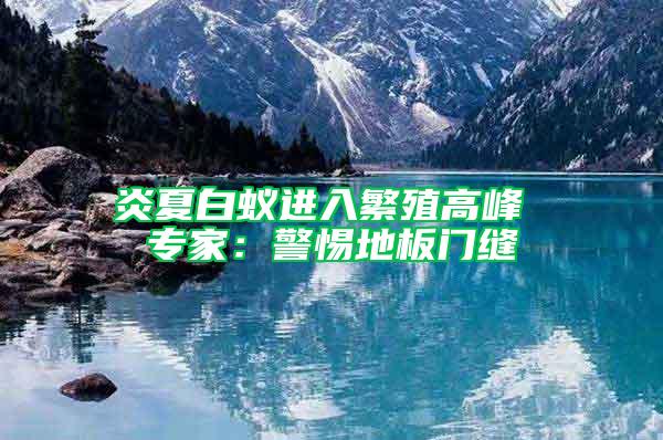 炎夏白蟻進(jìn)入繁殖高峰 專家：警惕地板門縫