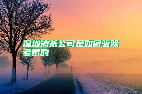 深圳消殺公司是如何驅(qū)除老鼠的