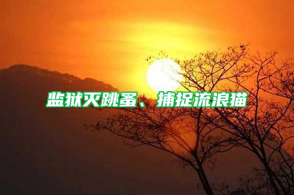 監(jiān)獄滅跳蚤、捕捉流浪貓