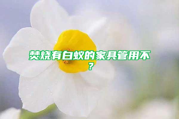 焚燒有白蟻的家具管用不？