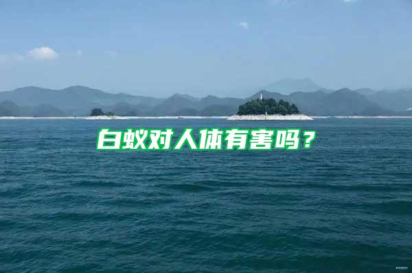 白蟻對人體有害嗎？