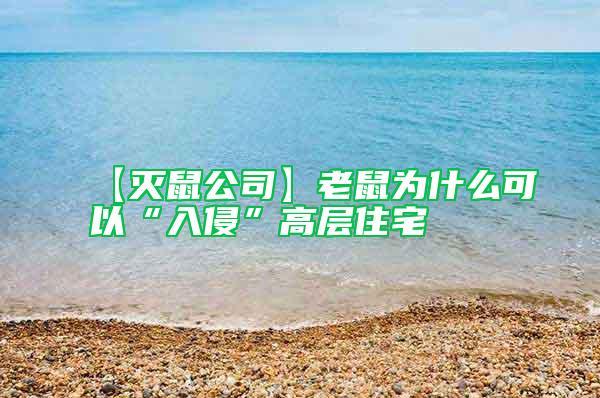 【滅鼠公司】老鼠為什么可以“入侵”高層住宅