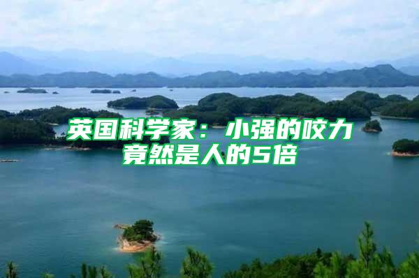 英國科學(xué)家：小強(qiáng)的咬力竟然是人的5倍