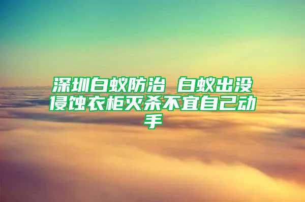 深圳白蟻防治 白蟻出沒侵蝕衣柜滅殺不宜自己動(dòng)手