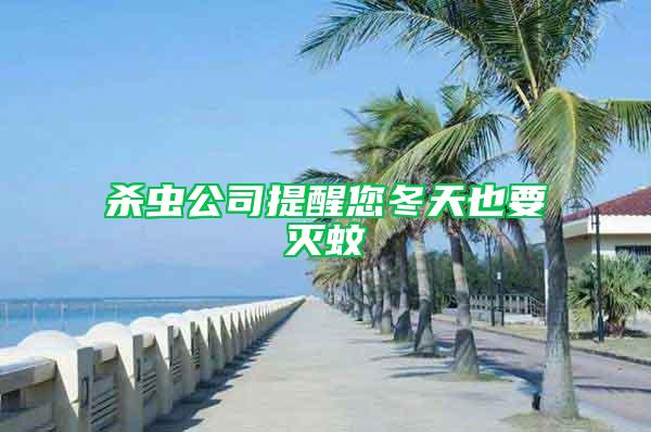 殺蟲公司提醒您冬天也要滅蚊