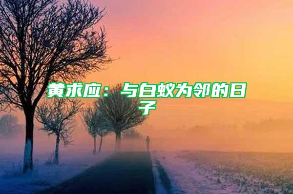 黃求應(yīng)：與白蟻為鄰的日子