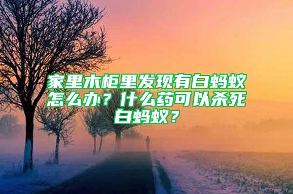 家里木柜里發(fā)現(xiàn)有白螞蟻怎么辦？什么藥可以殺死白螞蟻？