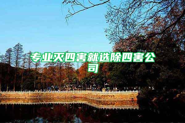 專業(yè)滅四害就選除四害公司