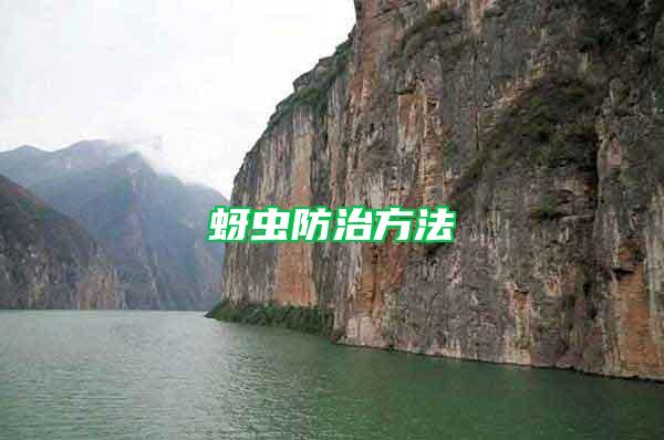 蚜蟲防治方法