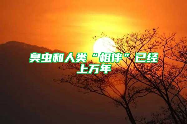 臭蟲和人類“相伴”已經(jīng)上萬年