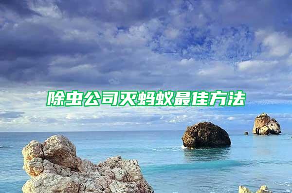 除蟲公司滅螞蟻最佳方法