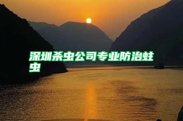 深圳殺蟲(chóng)公司專業(yè)防治蛀蟲(chóng)