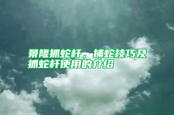 景隆抓蛇桿，捕蛇技巧及抓蛇桿使用的介紹