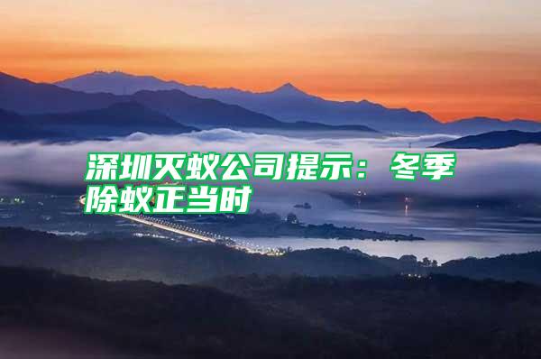 深圳滅蟻公司提示：冬季除蟻正當時