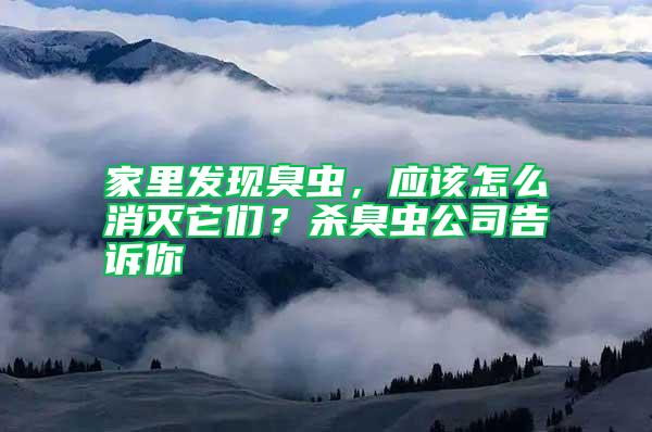 家里發(fā)現(xiàn)臭蟲，應(yīng)該怎么消滅它們？殺臭蟲公司告訴你