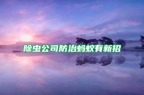 除蟲公司防治螞蟻有新招