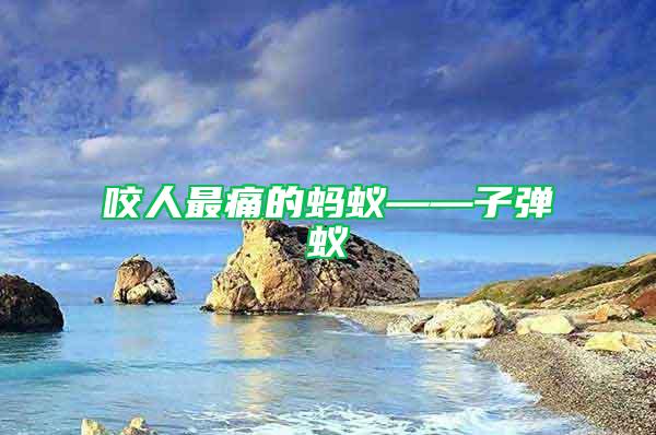 咬人最痛的螞蟻——子彈蟻