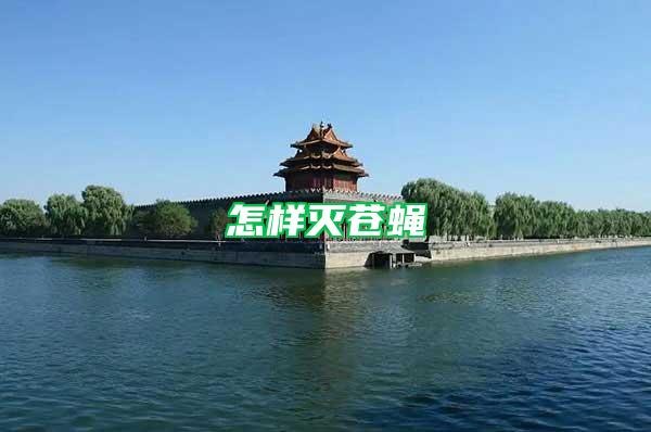 怎樣滅蒼蠅