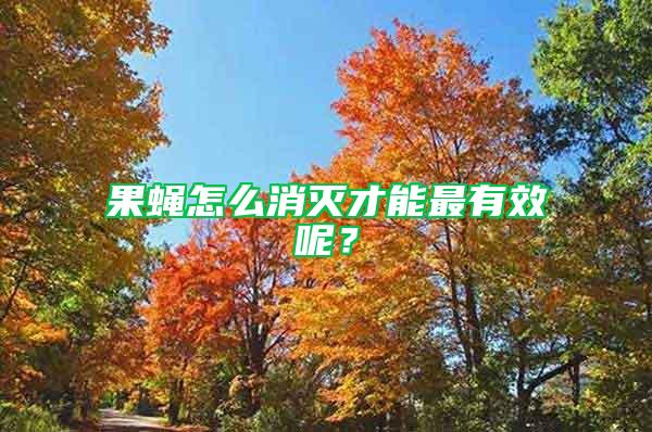 果蠅怎么消滅才能最有效呢？
