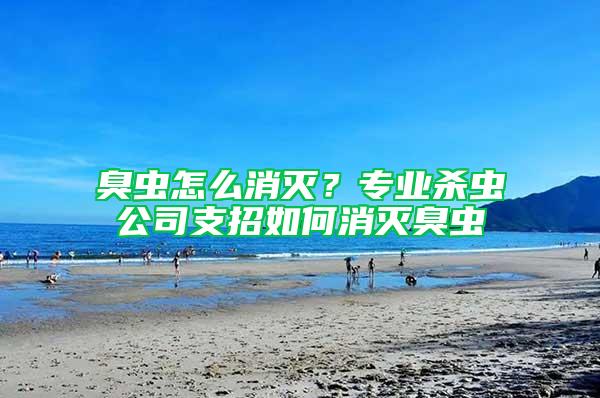 臭蟲怎么消滅？專業(yè)殺蟲公司支招如何消滅臭蟲