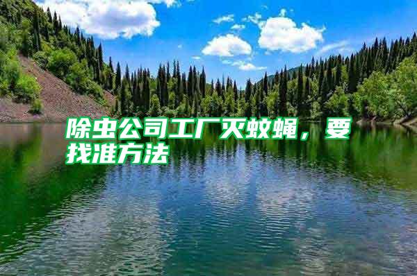 除蟲(chóng)公司工廠滅蚊蠅，要找準(zhǔn)方法