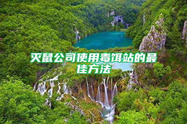 滅鼠公司使用毒餌站的最佳方法